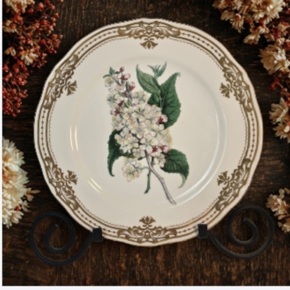 Vintage Botanical Floral Porcelain Plate Gold Filigree Scalloped Rim 10.5 inch